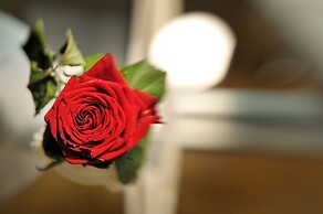 Luxury B&B La Dimora degli Angeli