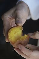 The Windsor Hotel Toya, Vignette Collection by IHG