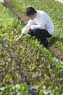 The Windsor Hotel Toya, Vignette Collection by IHG