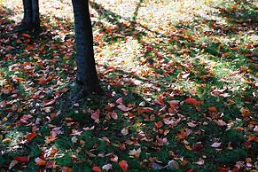 The Windsor Hotel Toya, Vignette Collection by IHG