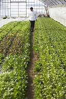 The Windsor Hotel Toya, Vignette Collection by IHG