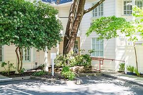 The Bergson, BW Signature Collection