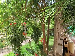 ibis Tlemcen