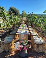 Masseria Montenapoleone