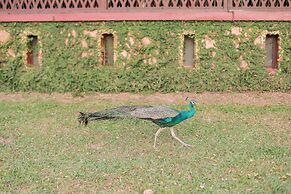 Marari Beach - Cgh Earth