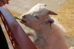 Park Hyatt Ningbo Resort and Spa