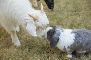 Park Hyatt Ningbo Resort and Spa