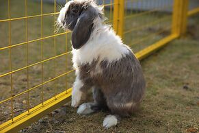 Park Hyatt Ningbo Resort and Spa