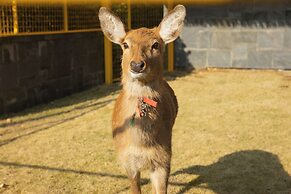 Park Hyatt Ningbo Resort and Spa