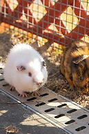 Park Hyatt Ningbo Resort and Spa