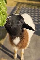 Park Hyatt Ningbo Resort and Spa