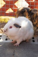 Park Hyatt Ningbo Resort and Spa