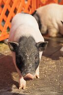 Park Hyatt Ningbo Resort and Spa