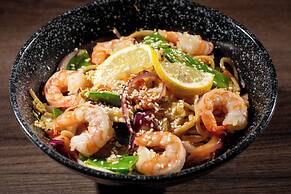 ibis Lyon Est Chaponnay