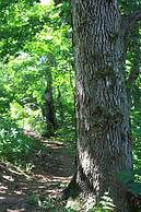 Smith Rock Chalets & Retreat