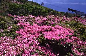 Unzen Miyazaki Ryokan