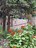 Mountain Vista Resort