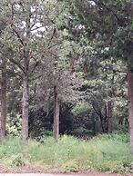 Mountain Vista Resort