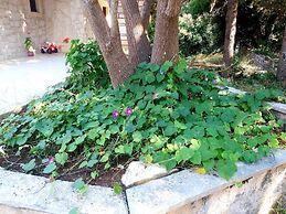 Mountain Vista Resort