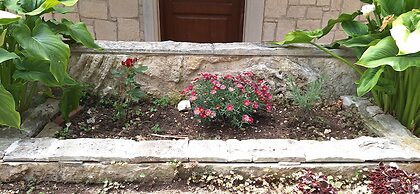 Mountain Vista Resort