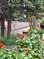 Mountain Vista Resort