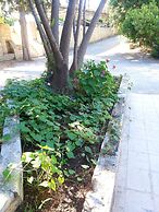 Mountain Vista Resort