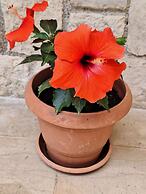 Mountain Vista Resort