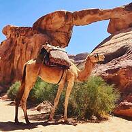 Beyond Wadi Rum Camp