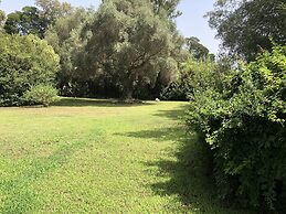Baia delle Palme Beach