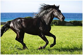 Hotel Rural Binigaus Vell