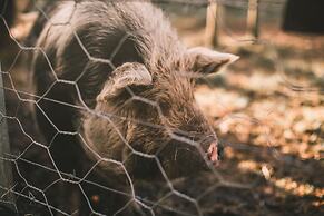 Bella Manga Country Escape