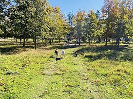 Bella Manga Country Escape