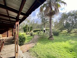 Bella Manga Country Escape