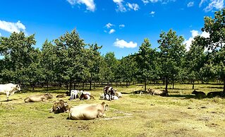 Bella Manga Country Escape