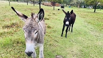 Bella Manga Country Escape