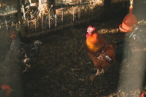 Bella Manga Country Escape