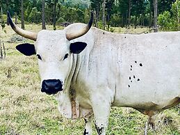 Bella Manga Country Escape