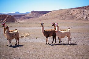 Tierra Atacama