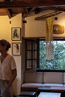 Aleka's House