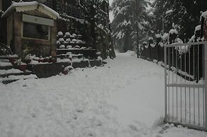 Shervani Hilltop Nainital