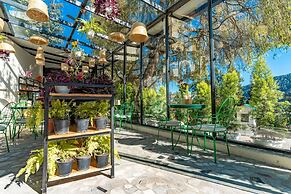 Shervani Hilltop Nainital