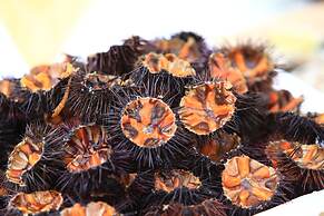 La Casarana Wellness Eco Resort