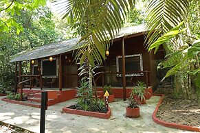 Amazon Ecopark Jungle Lodge