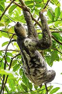 Amazon Ecopark Jungle Lodge