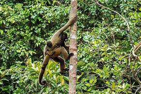 Amazon Ecopark Jungle Lodge