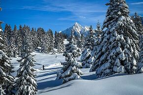 Chalet Les Frenes