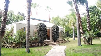 El Oasis
