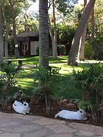 El Oasis