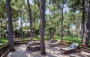 El Oasis
