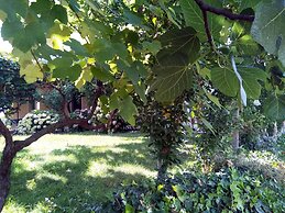 Apartments Vila Andjela